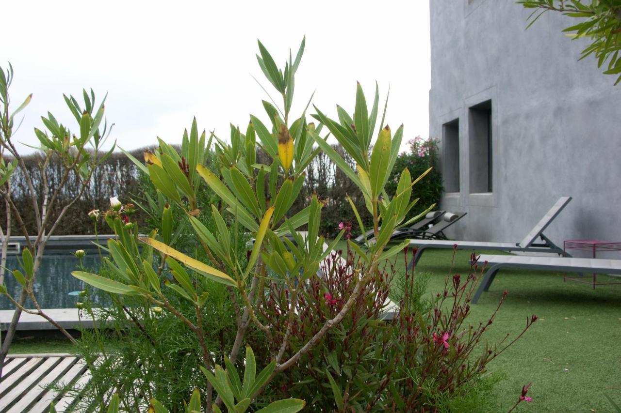 Maison D'Hotes Cote Cour Rasteau Екстериор снимка